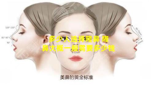 多少人选择隆鼻 隆鼻大概一般需要多少钱